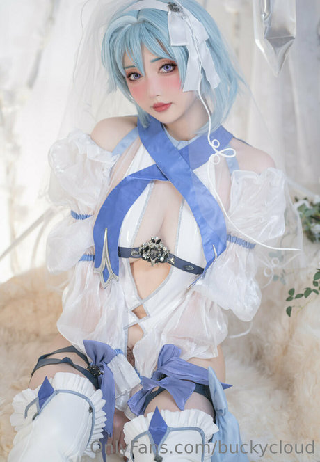 buckycloud star free galleries