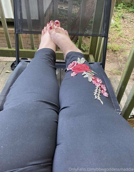 bbwgoddessmaddie star high quality gallery