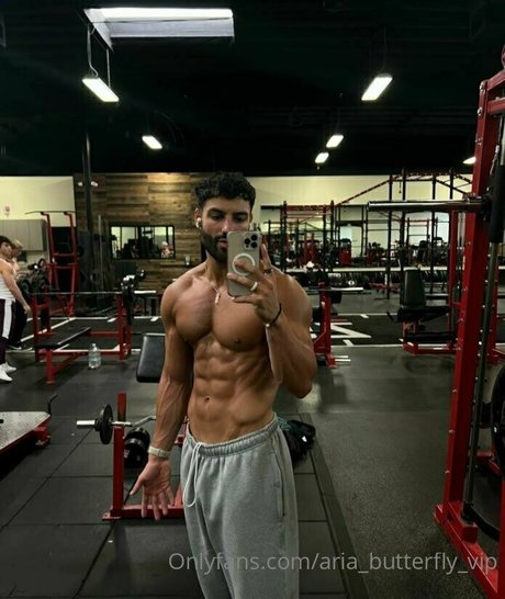 aria butterfly vip star adult image