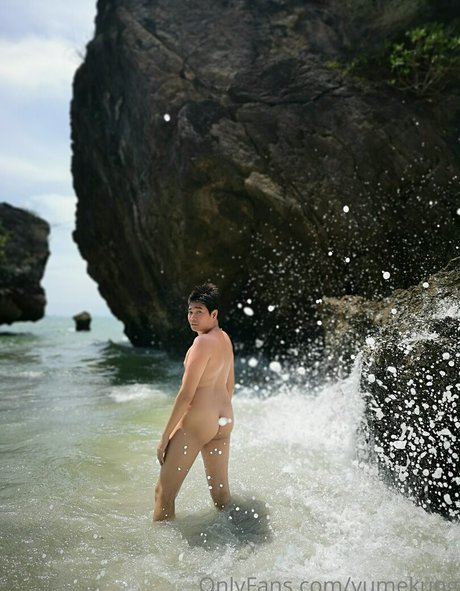 yumekung pretty star galleries