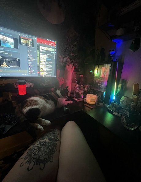 Kitty Titty star art img