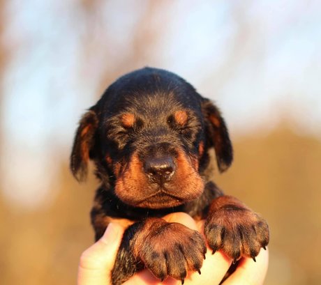 kristenhughey model nude picture