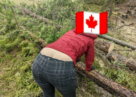 abigailfoxe star pornographic archive