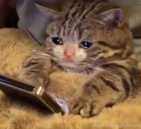 izzybrando model sex pictures