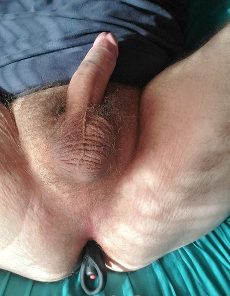 code d pretty model galleries