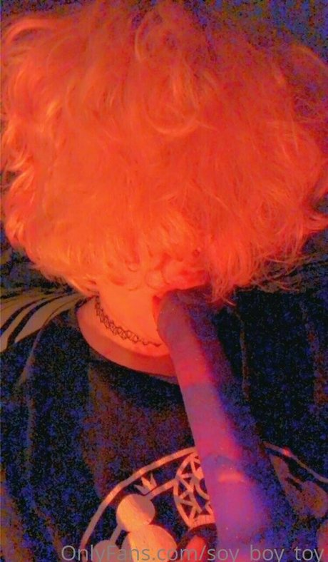 soy boy toy star art pic