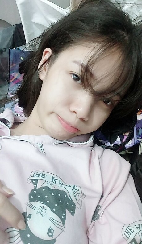 Candypopanca perfekte kostenlose bilder