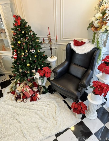 Moiicos freie exklusive fotos