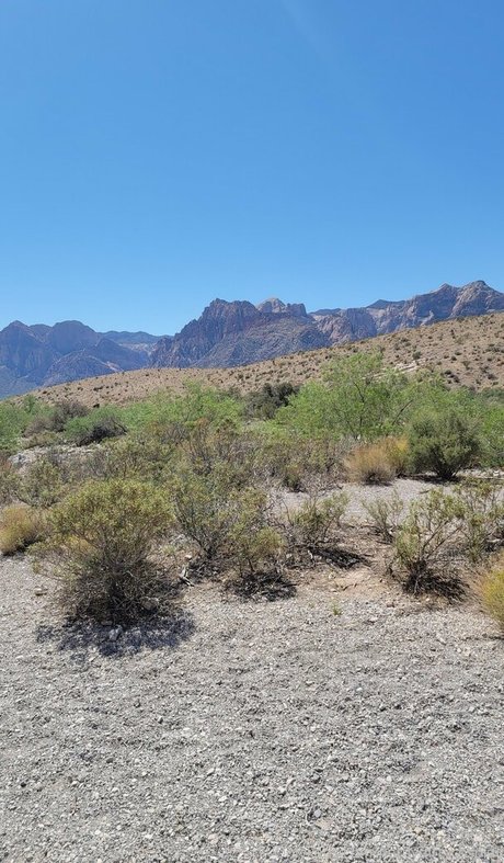 NerdyDirtyCosplay perfekte sexy galerien