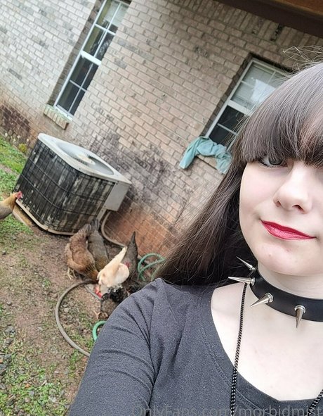 morbidmist perfekte pornostar galerien