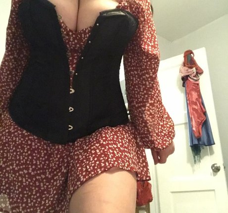 schwänze nur fans perfekte schöne fotos