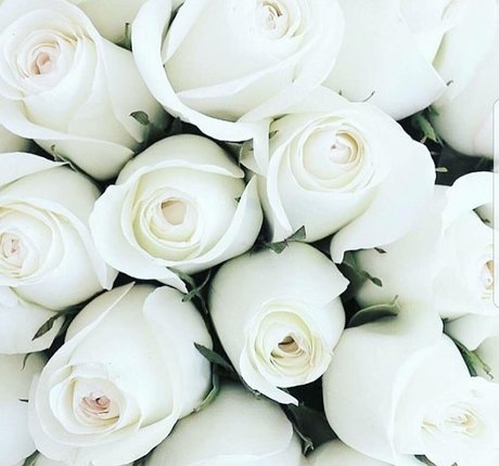 Herlinda Angel schöne top foto