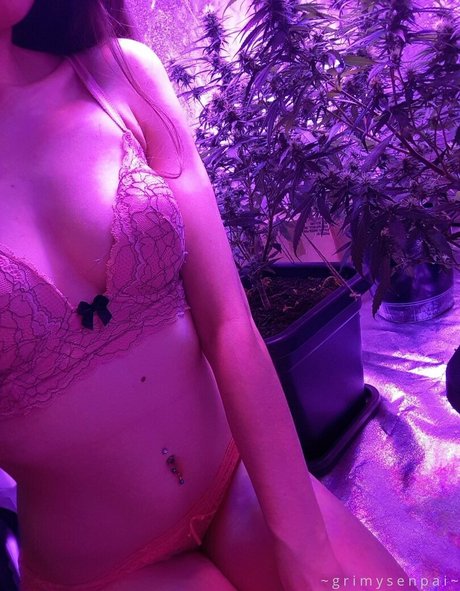 grimybby pornostar nette fotos