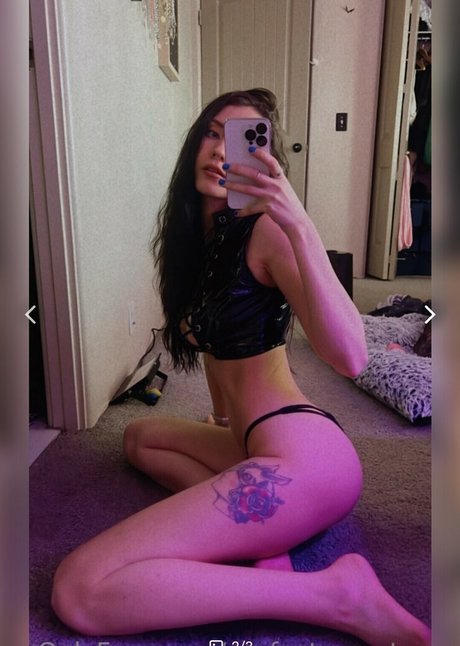 PerfectMonster top erwachsene bilder