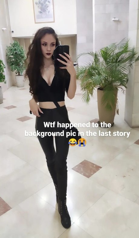 großer schwanz nur fans freie bilder