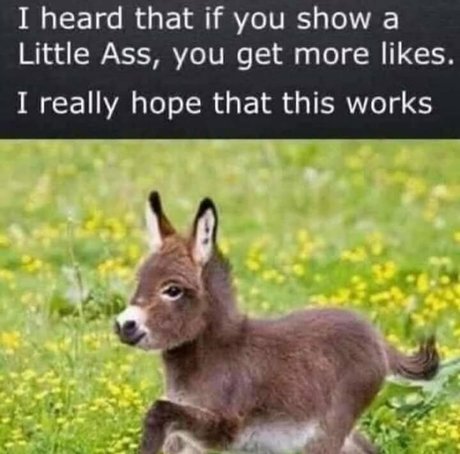 beersoakedangel02 pornografische bild