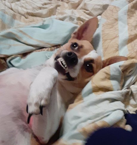 beersoakedangel02 schöne exklusive galerien