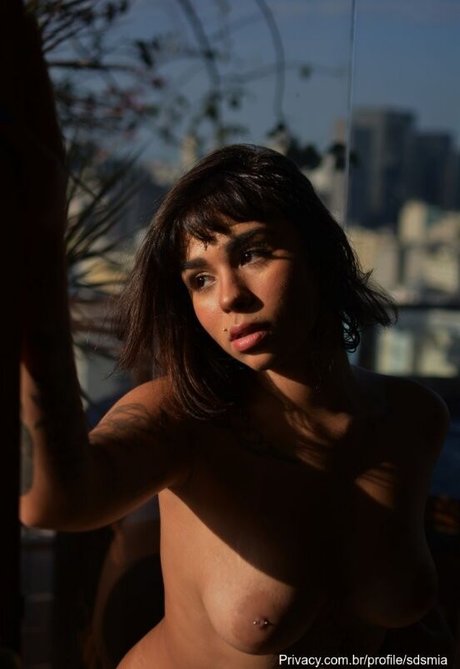 Mi sds heiße freie bilder