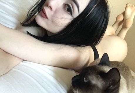 shadowshine5 erotische porno galerien