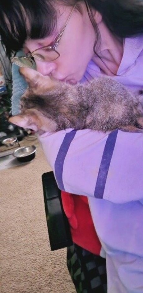 Monimusume Profilbild