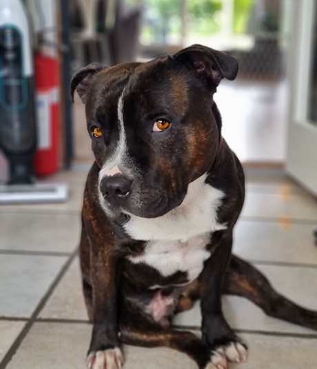 Christina Goldielocks nacktheit pornographische galerien