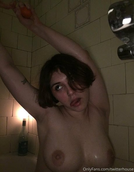 twitterhouse freie beste foto