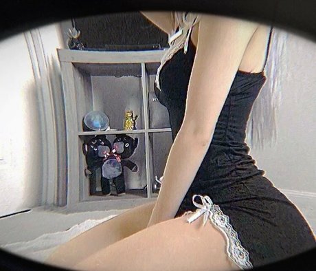 discord trans onlyfans exklusive erotische fotos