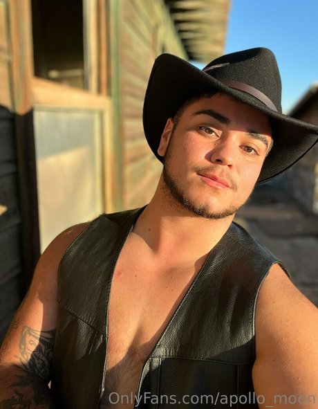 apollo moon model kunst bild