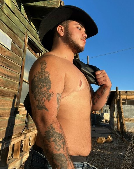 apollo moon kunst hübsche bild