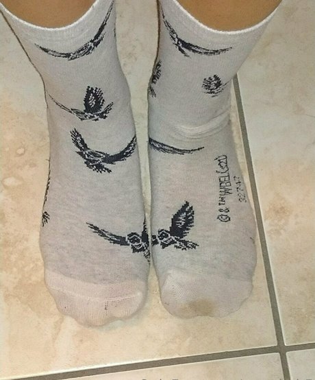 seawitch5 kostenlose nette bilder