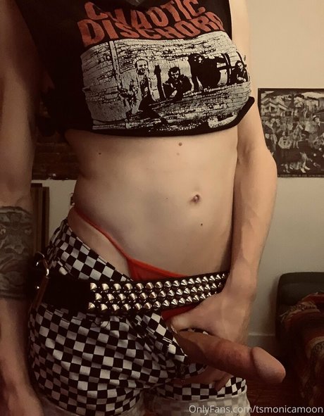 bbw trans onlyfans kunst top archiv