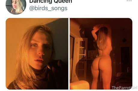 freeparrot porno schöne galerie