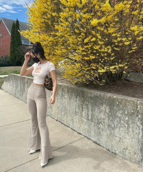 vivacious honey beste kunst archiv