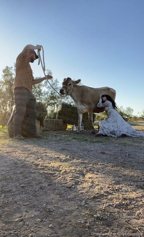 Reedsuicide schöne pornographische archiv