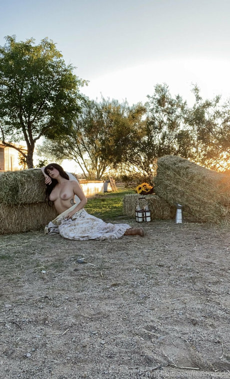 Reedsuicide hd porno galerie