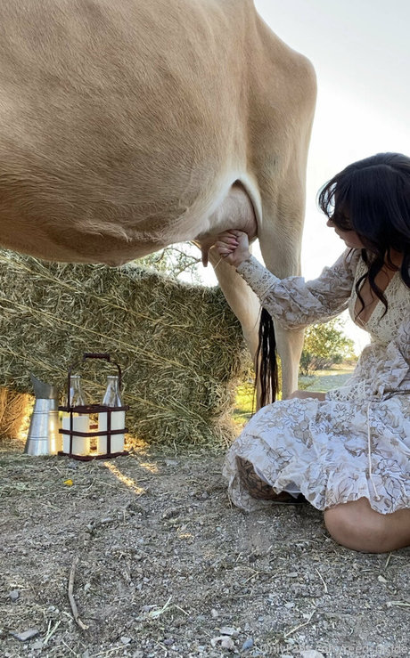 Reedsuicide perfekte erotische archiv