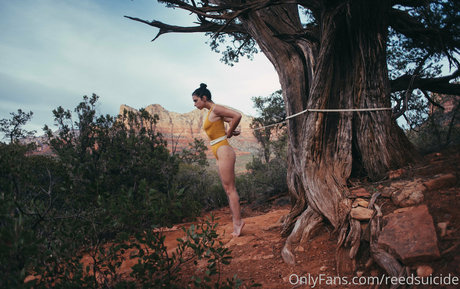 Reedsuicide top schöne fotos