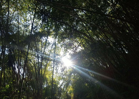 avliequeena model schöne archiv