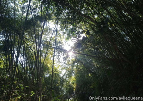 avliequeena kunst schöne fotos