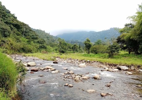 avliequeena nacktheit xxx bilder