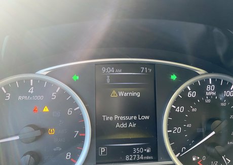 großer schwanz femboy onlyfans erwachsene schöne galerie