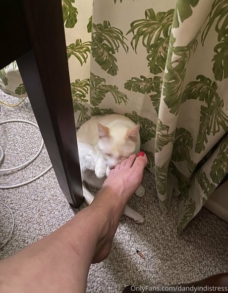 squirting-orgasmus nur fans top nackte fotos