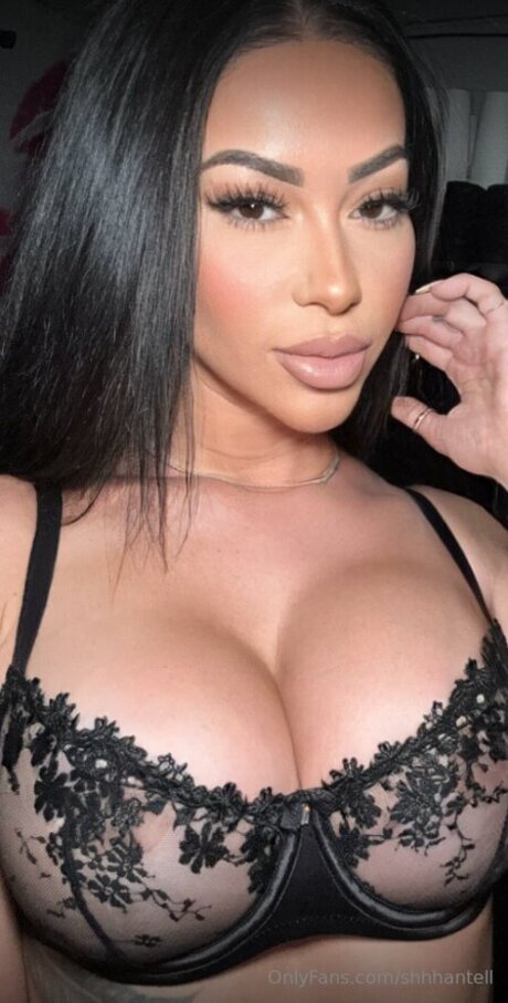 Shhhantell top akt archiv