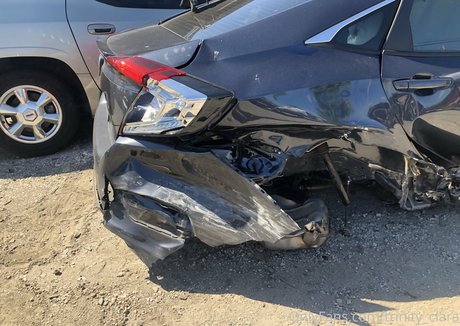 amateur-shemale onlyfans top schöne foto