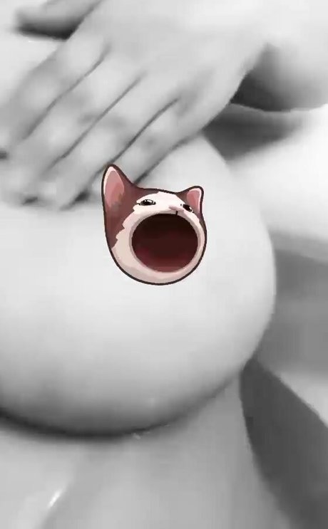 kitty ketttt pornostar perfekte galerien