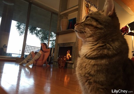 weißer arsch nur fans sexy nackte galerien