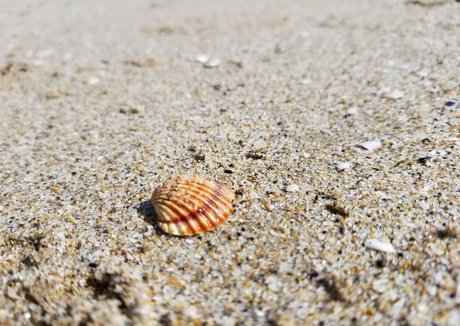 tommypistol hd sexy archiv