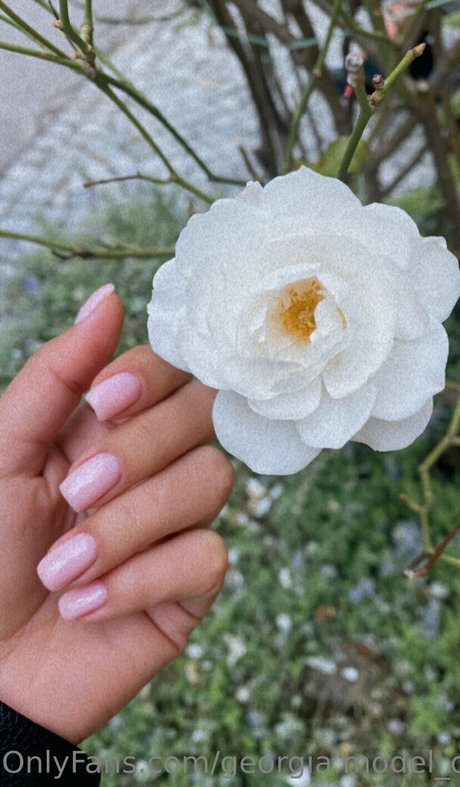 arabische muschi nur fans kostenlose schöne galerie