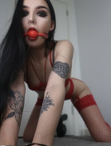 venicecandy heiße pornostar galerien