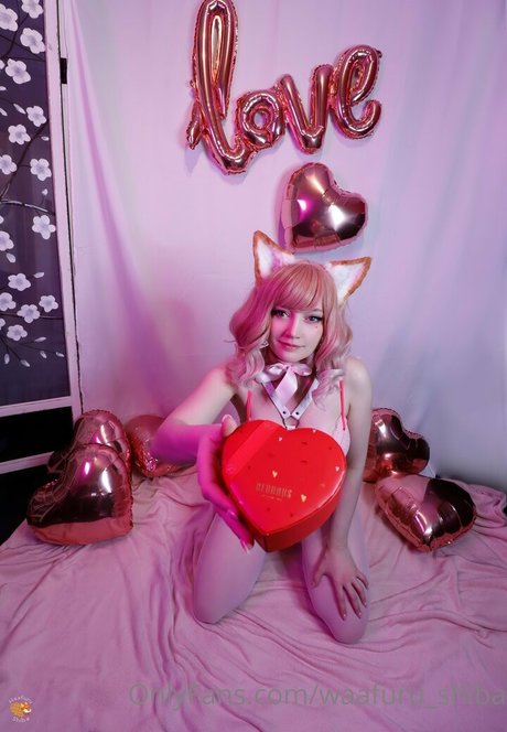 waafuru shiba top nette galerien